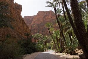 Tafraout
 - تافراوت 