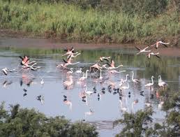 Vallée du Oued Souss (Oued Aoulouz) - واد سوس (واد أولوز)