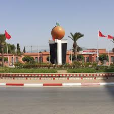 بركان: مهد أفضل أنواع البرتقال في المغرب واكتشف سر زراعته