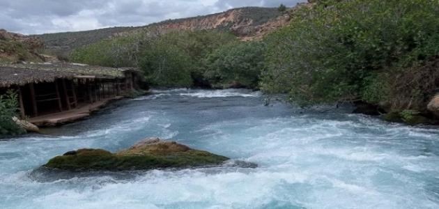 Le Bord de l'Oued Oum Errabia : Un Havre de Paix Naturel à Azemmour