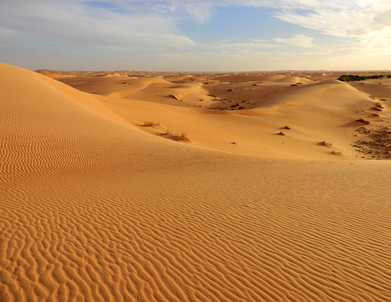 Les Paysages Sahariens de Tan-Tan : Entre Dunes Infinies et Mystère du Désert