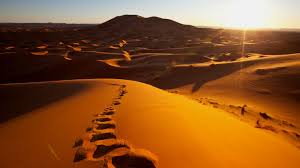 uploads/blogs/paysages-desertiques-autour-de-laayoune